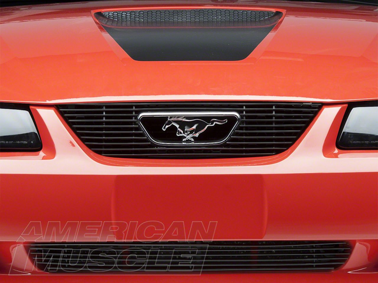 Black Billet Grille - Combo (99-04)