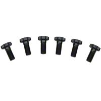 ARP Pro Series Flywheel Bolt Kit (79-95 5.0L) - ARP 200-2802