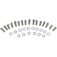 ARP Stainless Steel Header Bolts (79-95 5.0L) - ARP 400-1102