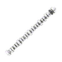 Ford Racing B303 Performance Camshaft (85-95 5.0L) - Ford Racing M-6250-B303