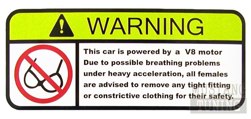 Airbag Warning Parody Decal