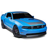 Silver RTR Style Graphics Package (10-12 All)