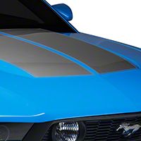 Silver Dual Hood Stripe (10-12 All) - AmericanMuscle Graphics 26293