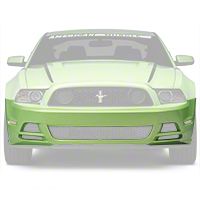3M Paint Protection Film - Lower Front Bumper (13-14 GT) - AmericanMuscle Graphics 26348