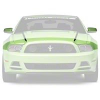 3M Paint Protection Film - Hood & Mirror (13-14 All) - AmericanMuscle Graphics 26350
