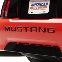 Carbon Fiber Vinyl Bumper Insert Letters (99-04 GT, V6, Mach 1; 99 Cobra)