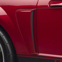 GT Style Side Scoops - Unpainted (99-04 All)