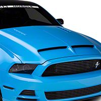 Cervinis Ram Air Type IV Hood - Unpainted (13-14 GT, V6) - Cervini's 1211