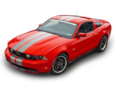 SEC10 Lemans Stripes; Silver; 8-Inch (79-23 Mustang)