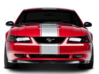 SEC10 Super Snake Style Stripes; Silver (94-04 Mustang)
