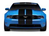 SEC10 GT500 Style Stripes; Matte Black; 10-Inch (79-23 Mustang)