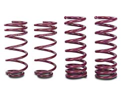Vogtland Sport Lowering Springs (94-04 Mustang GT Coupe; 94-98 Mustang Cobra Coupe; 03-04 Mustang Mach 1)