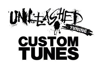 Unleashed Tuning Custom Tunes; Tuner Sold Separately (15-17 Mustang V6)