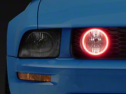 Oracle LED Halo Fog Light Conversion Kit; ColorSHIFT (05-09 Mustang GT)
