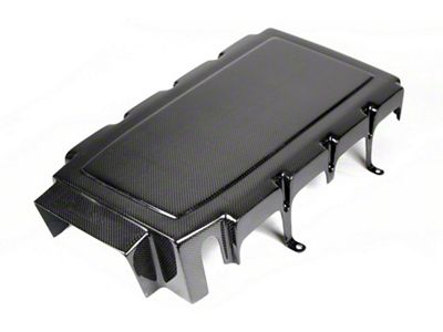 APR Performance Engine Plenum Cover; Carbon Fiber (05-10 Mustang GT)