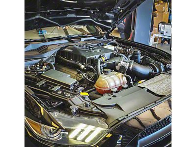VMP Performance Odin 2.65L TVS Supercharger Kit (15-17 Mustang GT)