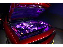 Oracle 60-Inch Flexible LED Strip Engine Bay Lighting Kit; ColorSHIFT (Universal; Some Adaptation May Be Required)