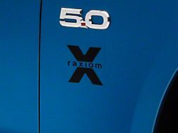 SEC10 Raxiom Fender Decal; Black (Universal; Some Adaptation May Be Required)