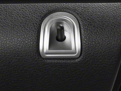 SHR Door Lock Pocket; Satin (05-14 Mustang)