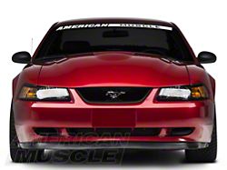 Cervini's 2000 Cobra R Style Hood; Unpainted (99-04 Mustang)