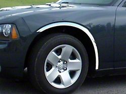 Wheel Well Fender Trim Molding; Stainless Steel (06-10 Charger)