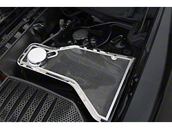 Water Tank Trim Plate; Carbon Fiber (11-18 Charger)