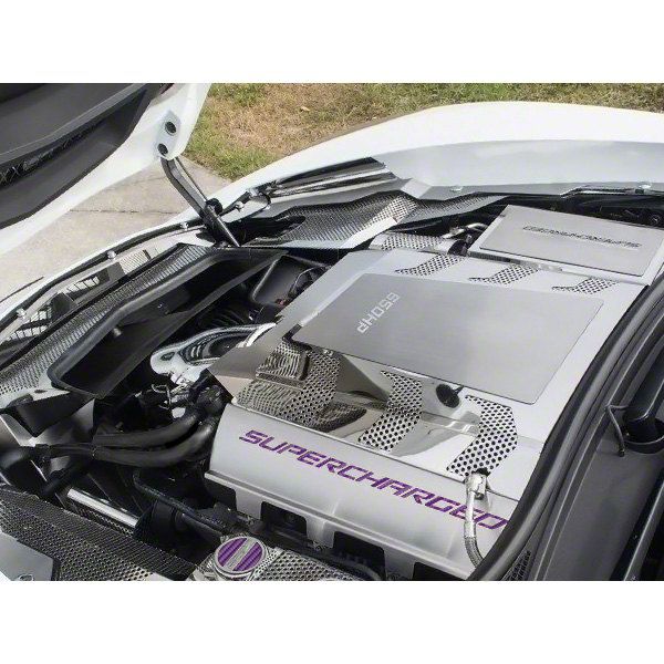 Corvette Fuel Rail Covers; Purple Carbon Fiber (1519 Corvette C7 Z06