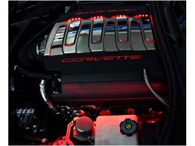 LED Fuel Rail Lighting Kit; White (14-19 Corvette C7 Stingray)