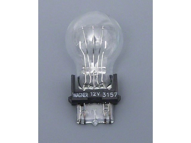 Light Bulb; 3157