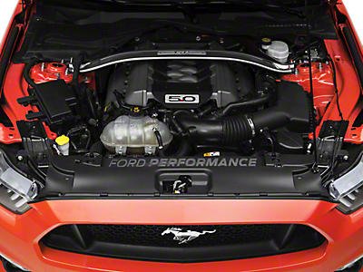 Mustang Radiator Covers 2015-2023